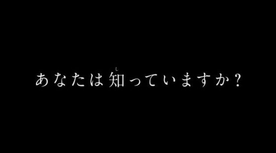 ポケモン 劇場版ポケットモンスター キミにきめた の予告2が公開 タケシ カスミがなかったことにｗアローラのポケモンも