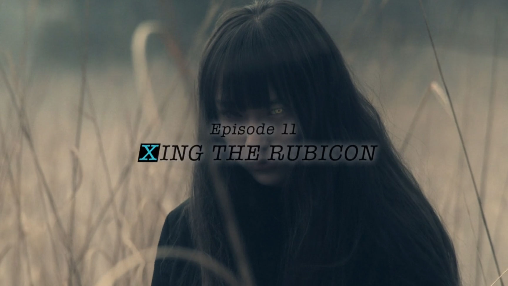 仮面ライダーアマゾンズ シーズン2 Episode 11 Xing The Rubicon の予告 千翼は自分が生きるためにイユと戦う決意をする